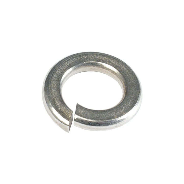 CHAMPION - SPRING WASHERS 6MM